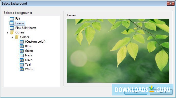 Background Selection