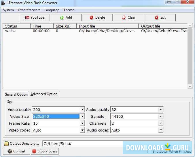 flash video downloader converter