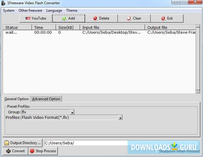 flash video converter download free