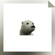 3D Arctic Bear