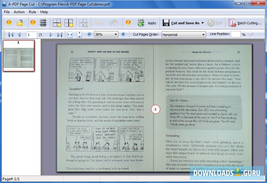 A-PDF Page Cut