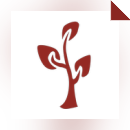 A Tale in the Desert