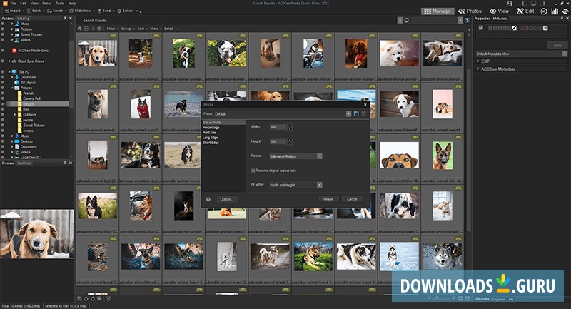 ACDSee Photo Studio 10 for windows download free