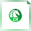 AKVIS Chameleon
