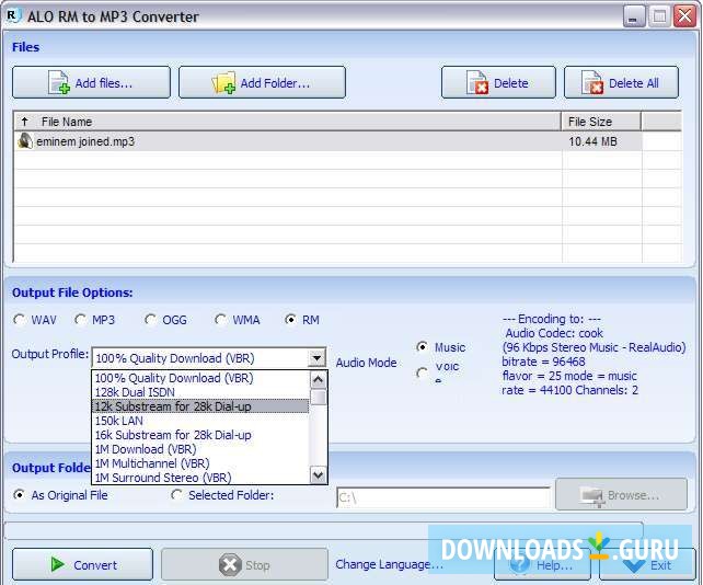 ALO RM to MP3 Converter