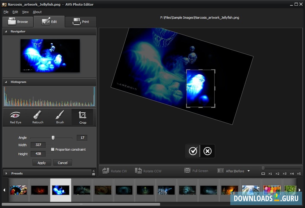 crop video avs video editor