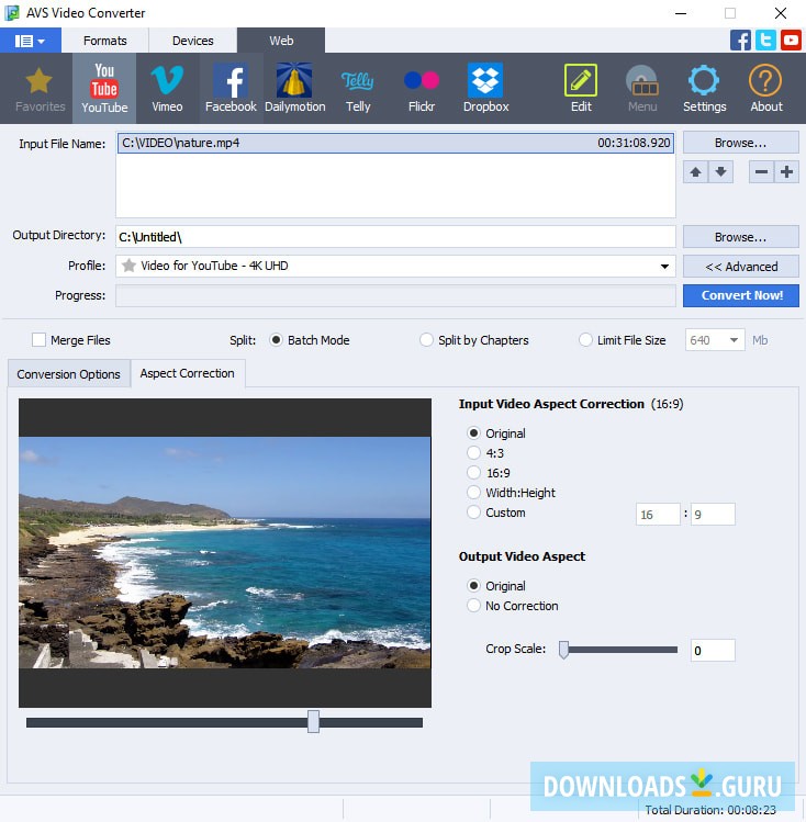 AVS Video Converter
