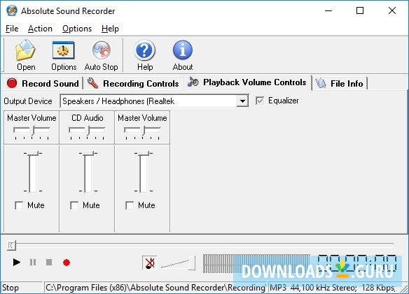 Playback Volume Controls