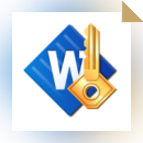 Accent WORD Password Recovery