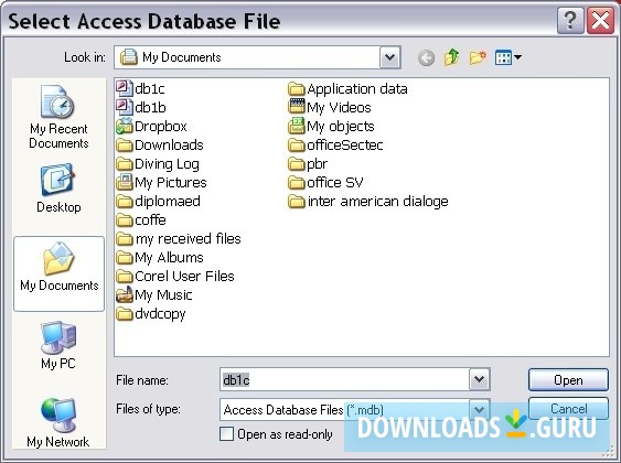 Access Password Recovery Software