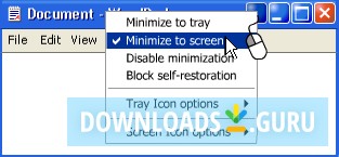 Actual Window Minimizer