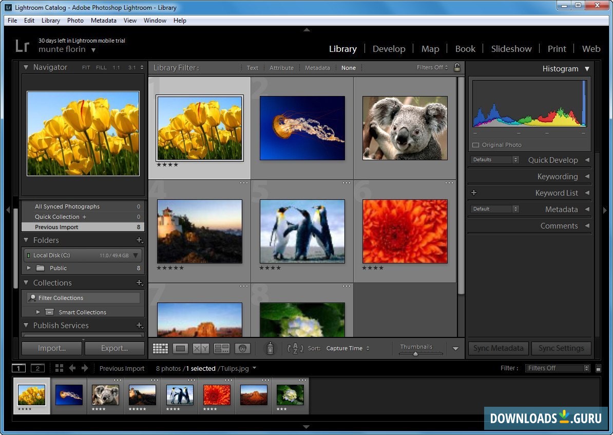 lightroom photo editing software free download for windows 7