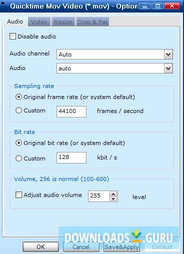 Aleesoft Free MKV Converter