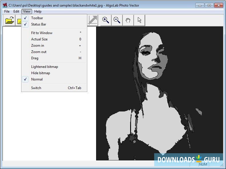 Processed Photo and the "View" Menu