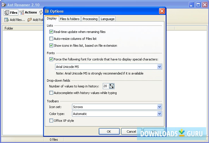 Ant Renamer options window