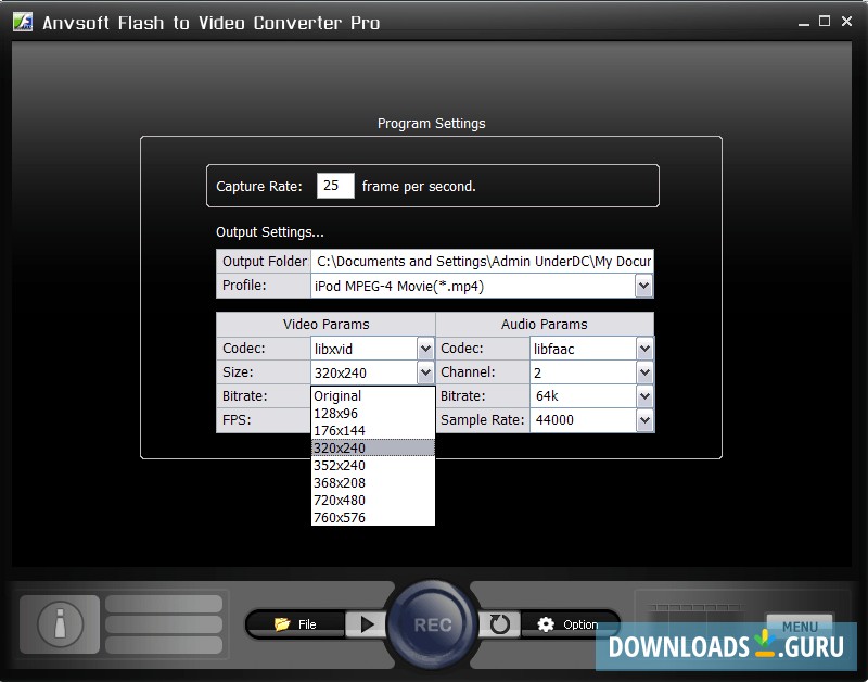 flash video downloader converter
