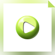Any FLV Player