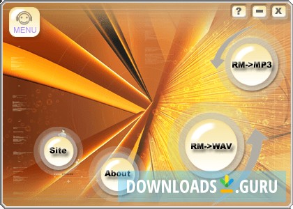 Apis RM to MP3 WAV Converter