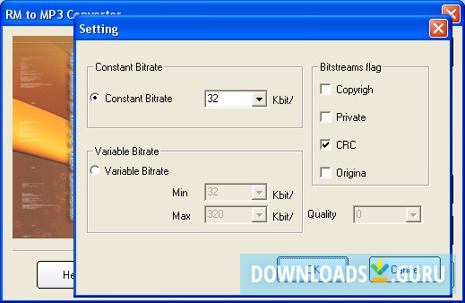 Apis RM to MP3 WAV Converter