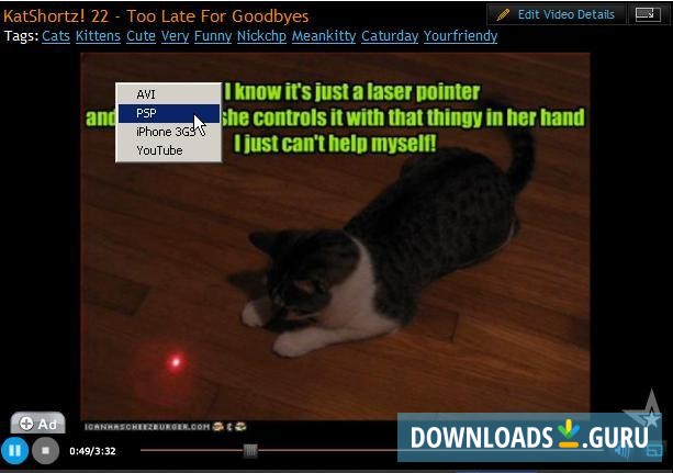 ArcSoft Video Downloader