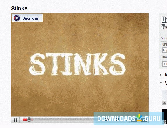 Download button on video area