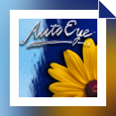 AutoEye