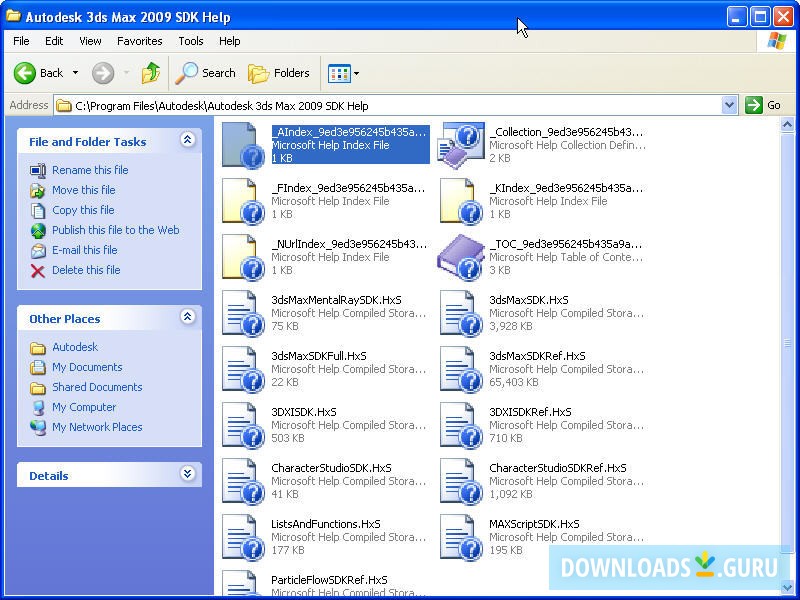Autodesk 3ds Max 2009 SDK Help