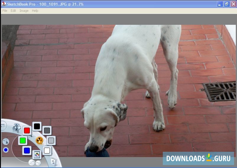 Autodesk SketchBookPro 2010