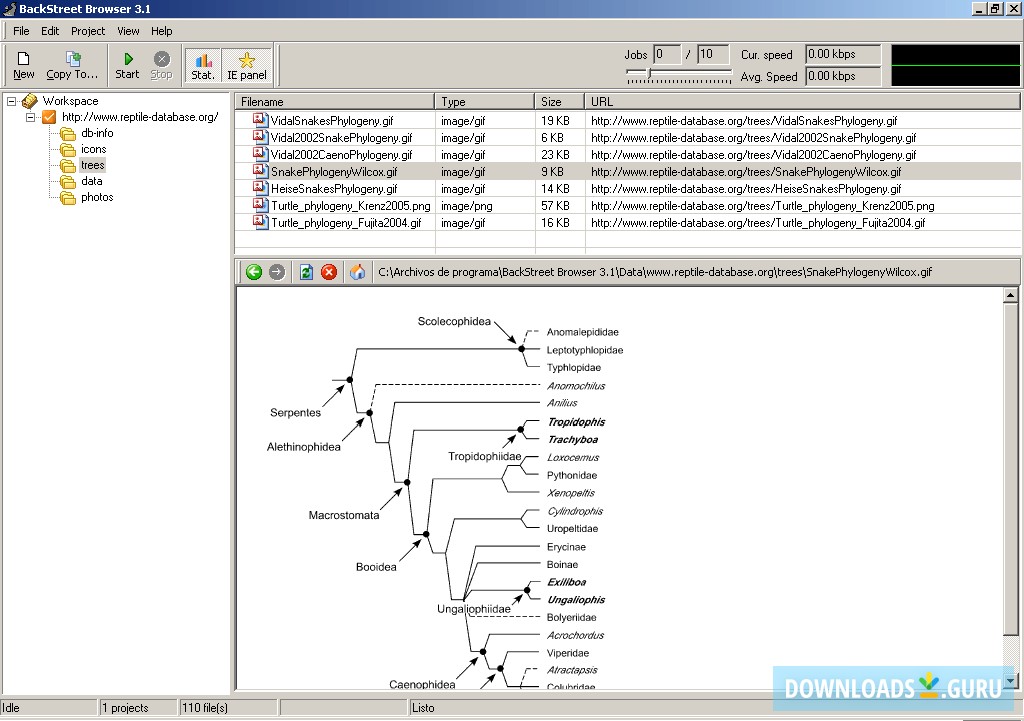 Internet Explorer Panel