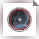 Black Hole Organizer