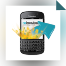 BlackBerry Backup Extractor