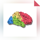 BrainVoyager QX