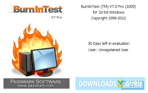 BurnInTest Pro