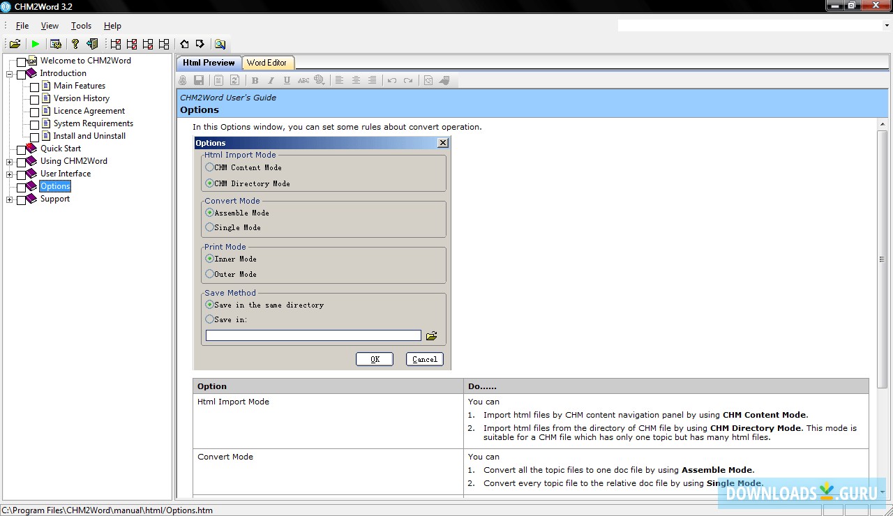 CHM2 Word Options .png