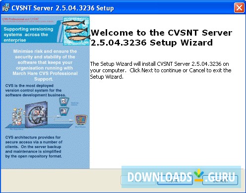 setup installation wizard