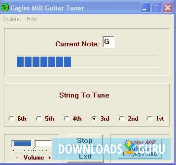 Cagles Mill Guitar Tuner