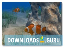 Clown Fish Screen Saver