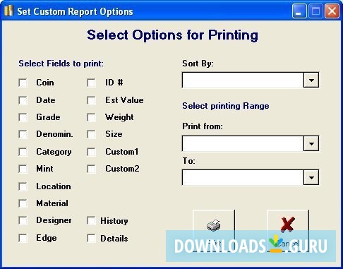 Set custom report options