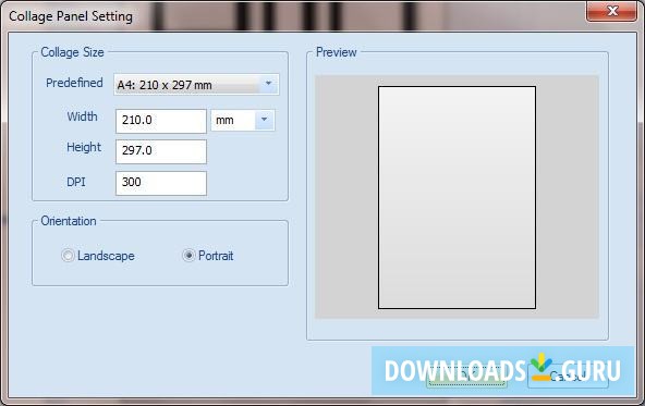 Collage Panel Setting
