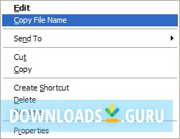 Copy File Name