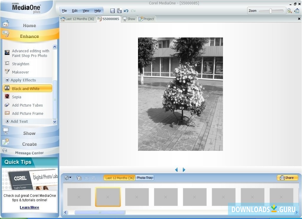 Corel MediaOne