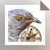 Download Cuckoo Clock 3D Screensaver