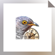 cuckoo clock 3d screensaver