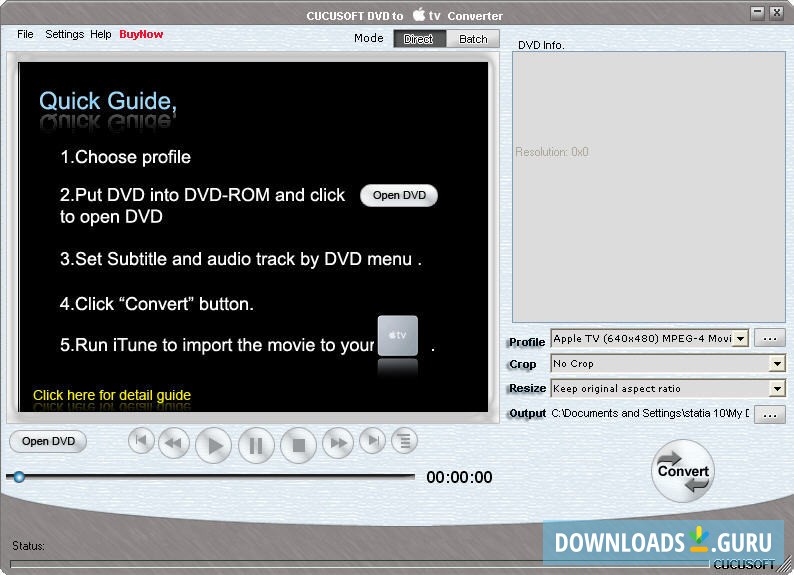 DVD to TV converter window.