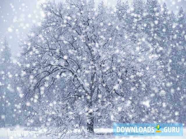 DX Winter Snow Screensaver