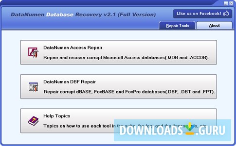 DataNumen Database Recovery