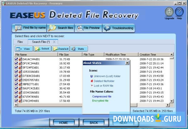 Deleted File Recovery