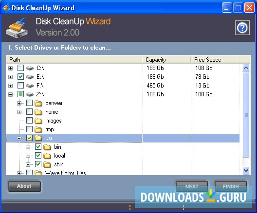 Disk CleanUp Wizard