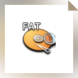 Disk Doctors FAT Data Recovery