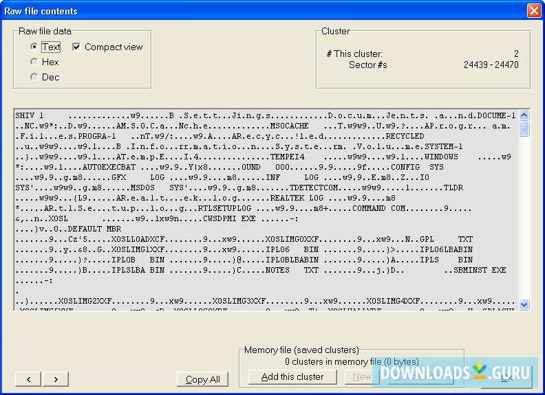 Raw File Contents Window